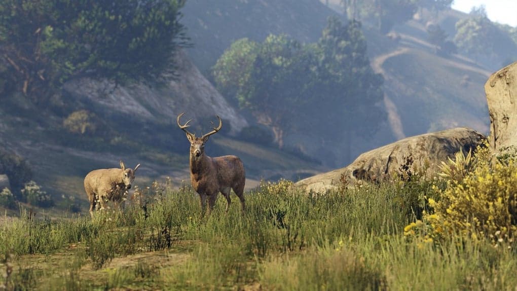 gta-v-have-fun-with-grand-theft-auto-v-windows.jpg