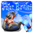Polar Bowler for Windows