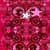 Pink Star Bright in 3D