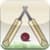 Swing Cricket 2