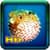 Fish Desktop HD Wallpaper