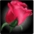 Count Your Roses to Decode Your Valentines Hidden
