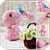Guidebook Giy Ieas