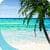 Perfect Beach VR personal