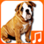 Talking Dog Sounds