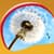 Dandelion Live Wallpapers Popular