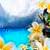 Desert Island Paradise LiweWP