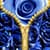Blue Rose Zipper Lock Screen