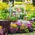 Fantastic Garden Live Wallpapers