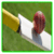 Top Cricket Umpires in the world