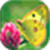 Butterfly Wallpaper_1