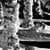 Snow Statues Live Wallpaper
