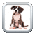 Name That Dog Breed Trivia Educational Kids Game