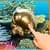 JellyFish 3D in your phone LWP free