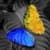 PhotoWizard Lite