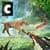 Forest Animal Real Hunting