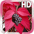 Autumn Grapes Live Wallpaper