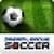 Dream Federation Soccer