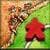 Carcassonne extreme