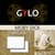 Moby Dick Flashcards - GYLO Study Aids