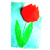 Origami Flower Instruction