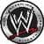 WWE 2013 Wrestling Experience