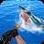 Angry Shark Hunting 2016