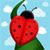 Magic Bugs
