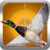 Duck Hunting Calls free