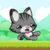 Little cat run and jump