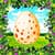 Magical Egg 2