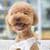 Dog wallpaper Aa