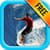 The Art of Surfing - How to Surf Guide Techniques