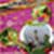 Garden photo frame images pic
