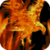 Eagle On Fire Live Wallpaper
