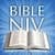 NIV Bible Manual