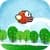 Brave Bird