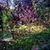 Magic Garden Game