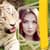 Tiger Photo Frames Latest