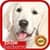 Cómo Educar a un Cachorro