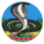 Celebration of Nag Panchami
