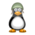 The Crazy Penguin
