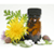 Chinese Herbs App