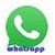 whatsapp on chat