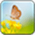 Butterfly Images