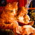 Audio Tales from Around the World end Baby Radio