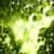 Awesome Nature Wallpapers HD