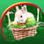 Easter Live Wallpapers New