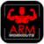 Fitness Challenge Celebrity Arm Workout