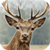 Deer Hunter: 3D Sniper Shooter